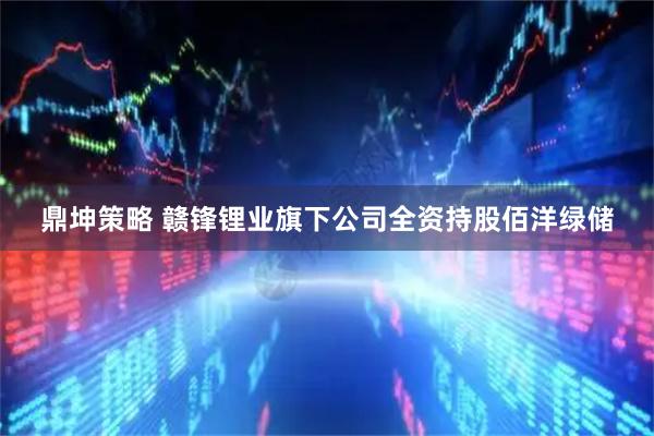 鼎坤策略 赣锋锂业旗下公司全资持股佰洋绿储