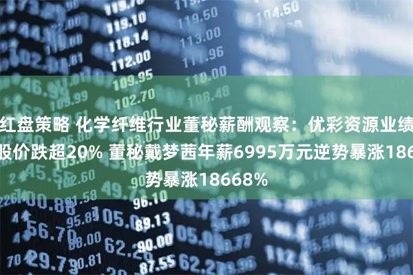 红盘策略 化学纤维行业董秘薪酬观察：优彩资源业绩下滑股价跌超20% 董秘戴梦茜年薪6995万元逆势暴涨18668%