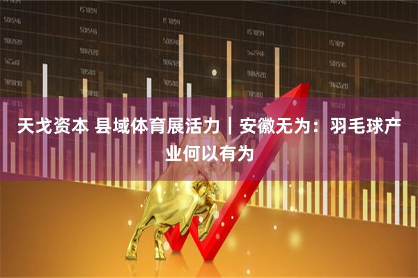 天戈资本 县域体育展活力｜安徽无为：羽毛球产业何以有为